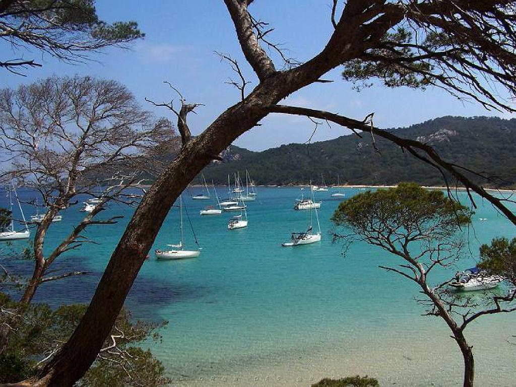 183 ILE DE PORQUEROLLES -3_000021.jpg